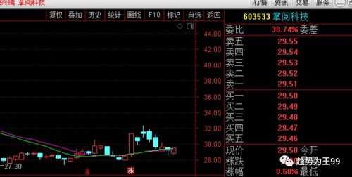 掌阅科技 数字阅读龙头，趋势线支撑下的价值再审视
